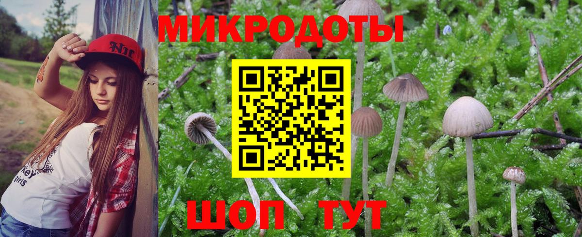 Галлюциногенные грибы GOLDEN TEACHER Бугуруслан