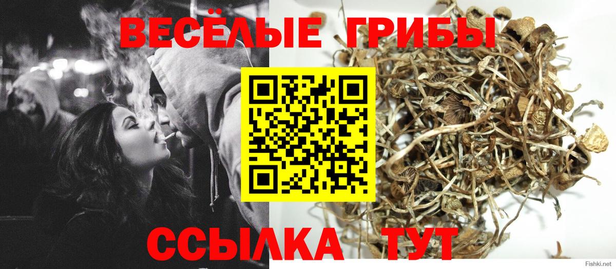 Псилоцибиновые грибы MAGIC MUSHROOMS  Вход с VPN  Бугуруслан  Галлюциногенные грибы Magic Shrooms 